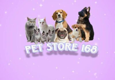 405242350_371485572071610_6100074341194949282_n.jpg?_nc_cat=102&ccb=1-7&_nc_sid=6ee11a&_nc_eui2=AeHRhgzxDRqsJ6B2VqvB5D0IReAIM_thcA1F4Agz-2FwDamtvG3zyLUlYX3Rq6sU3BSRxuG8eyv9YpVjf4C3M6dE&_nc_ohc=MiCjy6DXS4kQ7kNvwHjy54Z&_nc_oc=Adn_lvl5kny2yf_GxuCH4FXQqVz48fxjpfuHf0Z8wD7bvLleqYIrmAv5SVfYc_XBfMk&_nc_zt=23&_nc_ht=z-p3-scontent.fpnh5-2