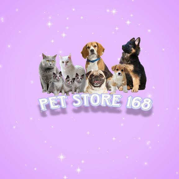 PET STORE 168